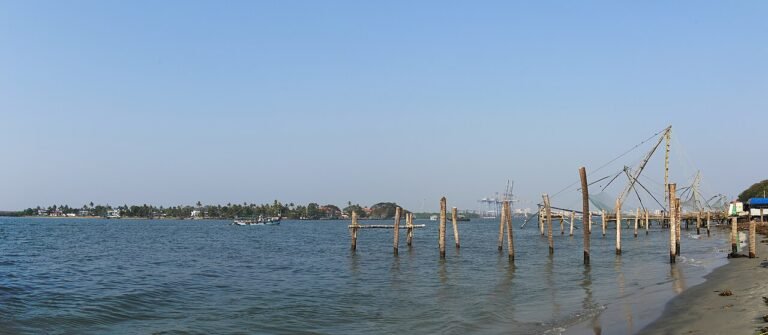 Kochi Airport: Private Hotel Transfer
