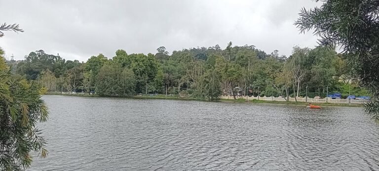Kodaikanal: Private Lake, Viewpoints & Waterfalls Tour