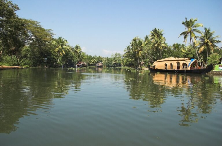 Kumarakom: Private Village & Backwater Canoe Experience